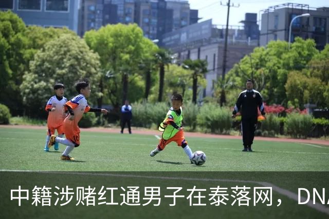 中籍涉赌红通男子在泰落网，DNA检测意外牵出新疑点