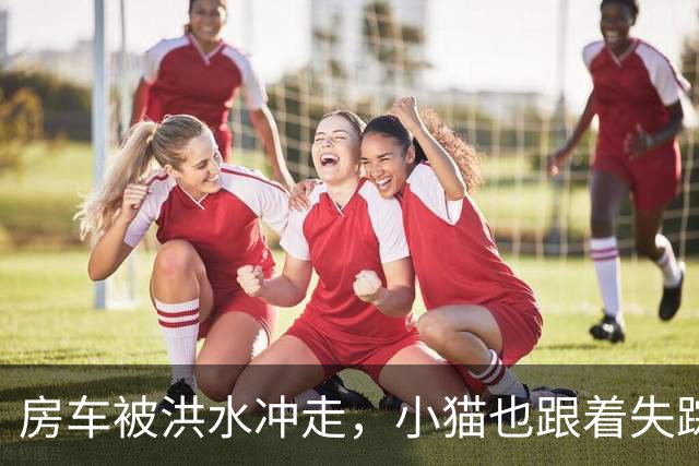 房车被洪水冲走，小猫也跟着失踪，8天后它突然回家了，全家人都哭了
