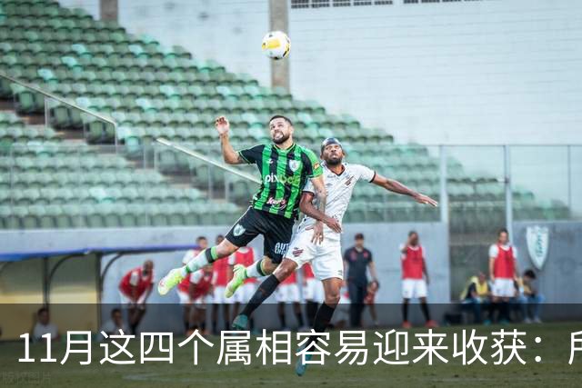 11月这四个属相容易迎来收获：所有惊喜，都是长期默默耕耘的结果